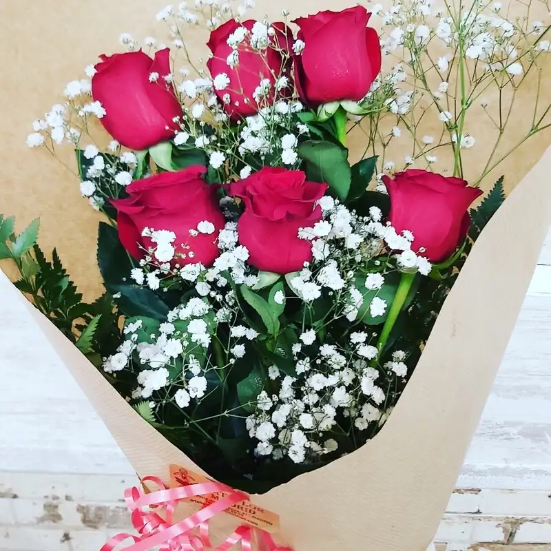 Rosas Rubi 6 y paniculata