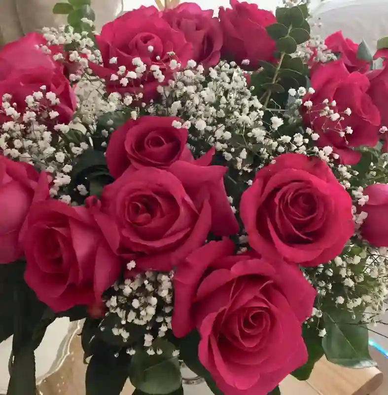 Rosas fucsias X 12