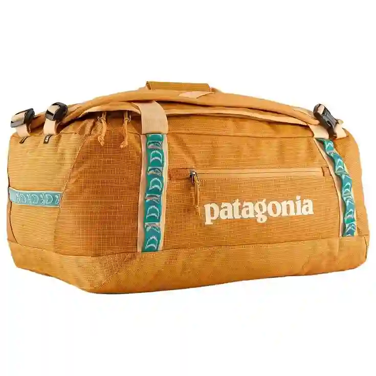 Patagonia Black Hole Duffel 40L