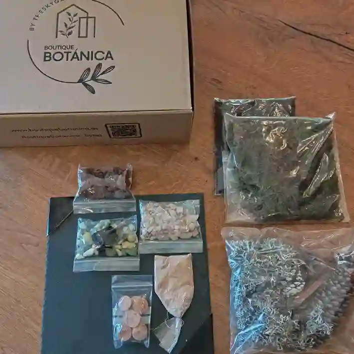 Kit minijardina bricolaje