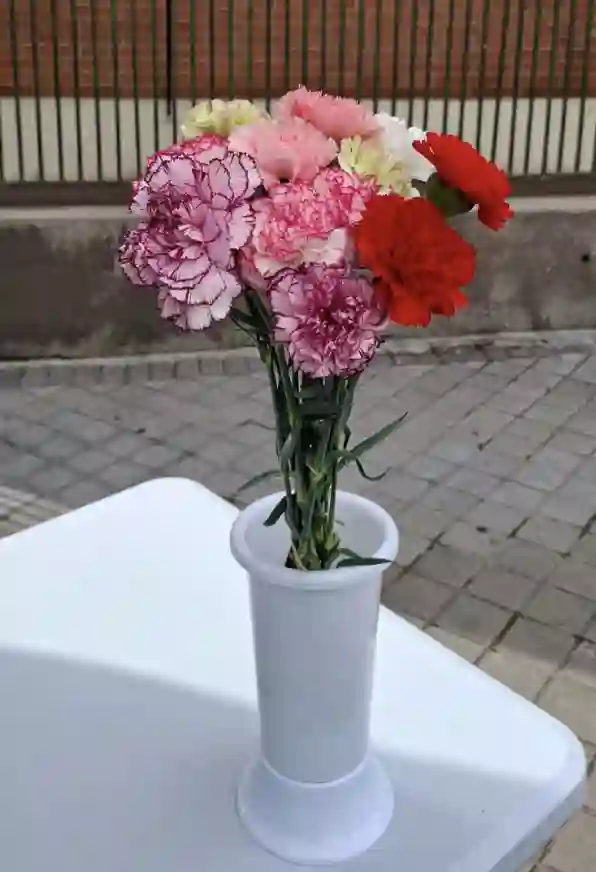 Clavel Variado Ramo - Mediado