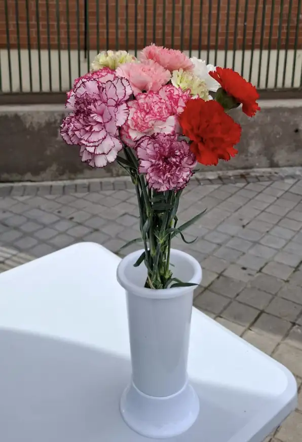 Clavel Variado Ramo - Mediado