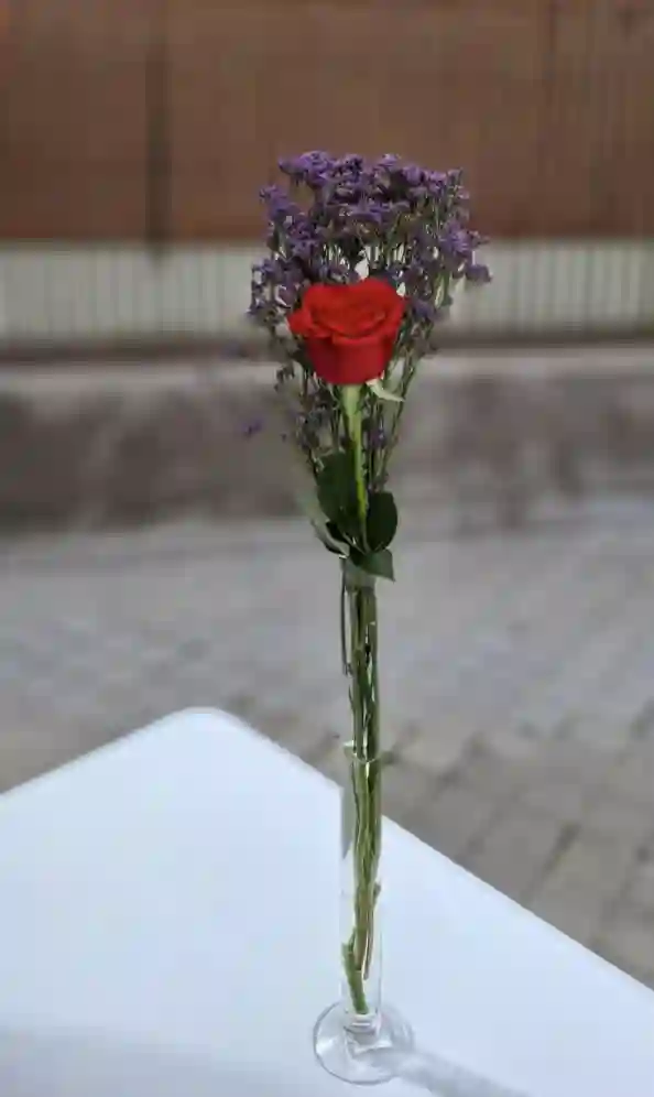 Rosa Roja - 1ud