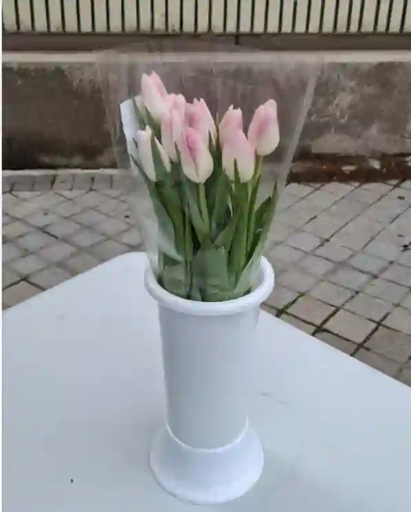 Tulipanes - 1 unit