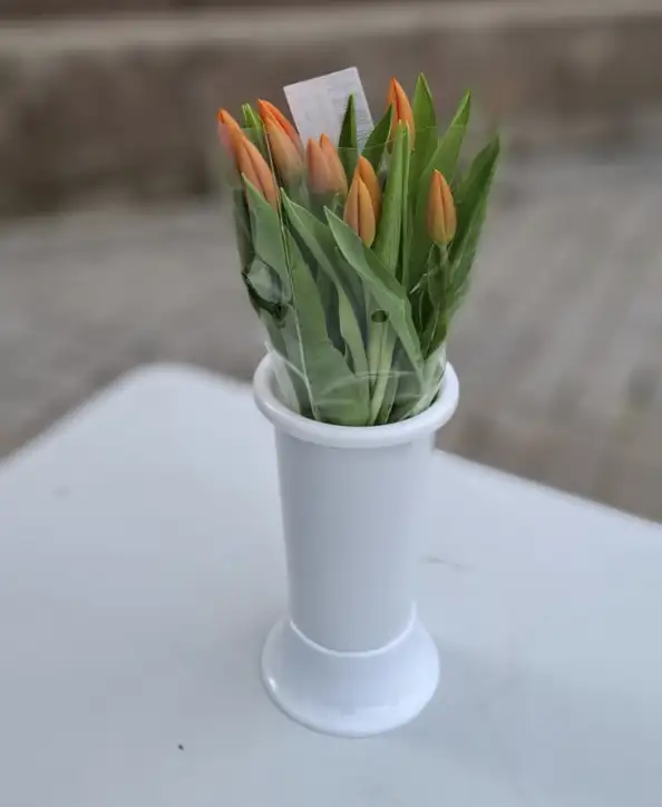 Tulipanes - 1 unit - Image 2