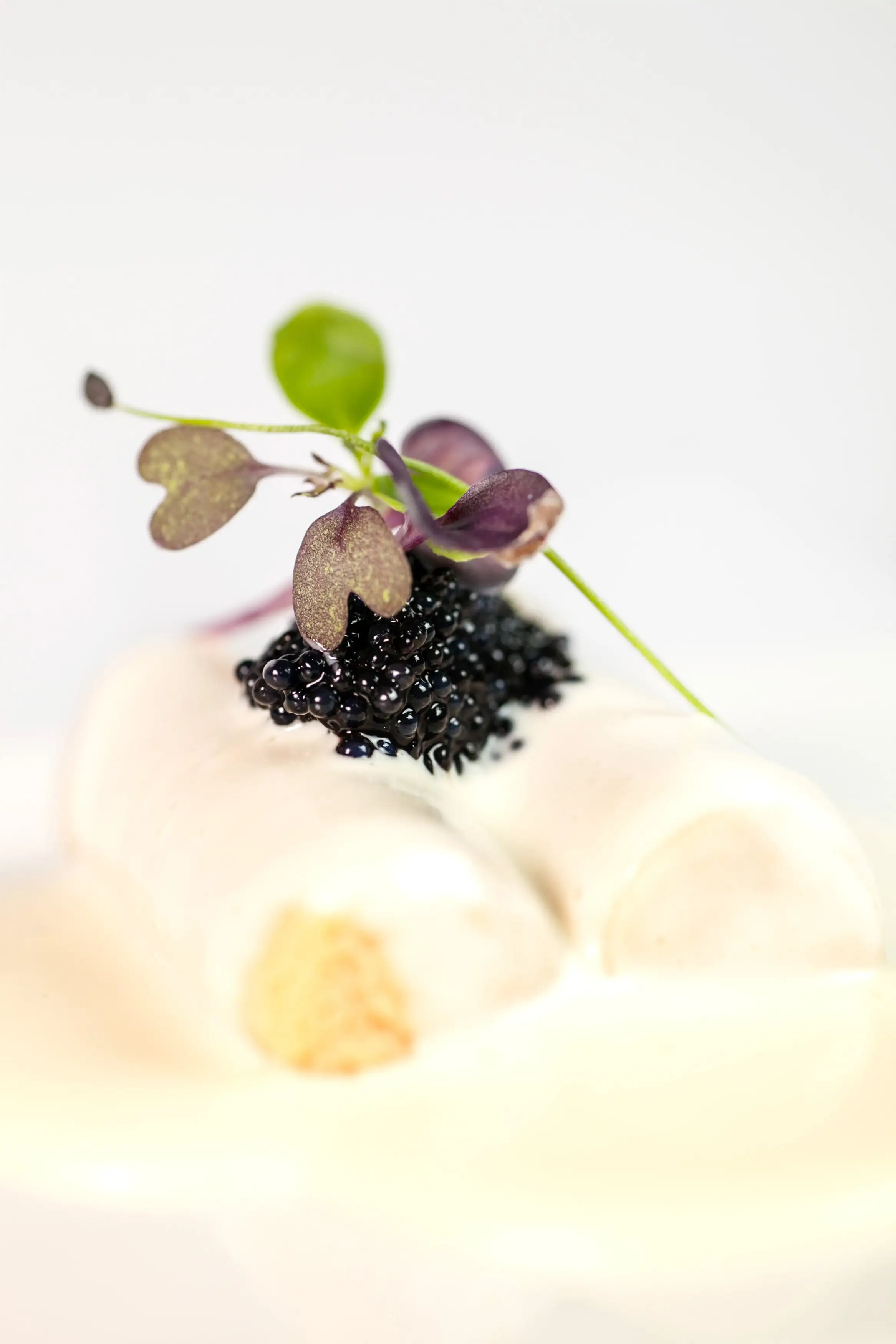 SPHERIKA, black lumpfish roe - Image 4