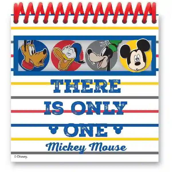 MICKEY MOUSE SPITAL Notebooks Toys