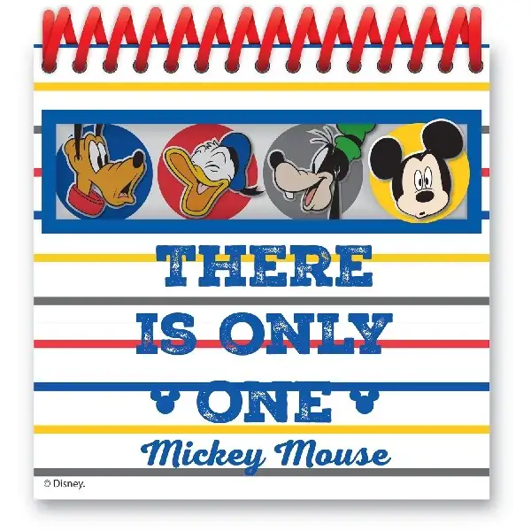 MICKEY MOUSE SPITAL Notebooks Toys