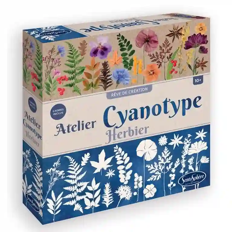 Sentosphère: Taller de Cianotipia