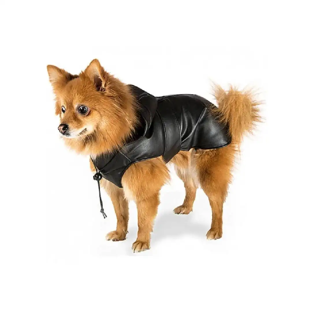Abrigo Trench
