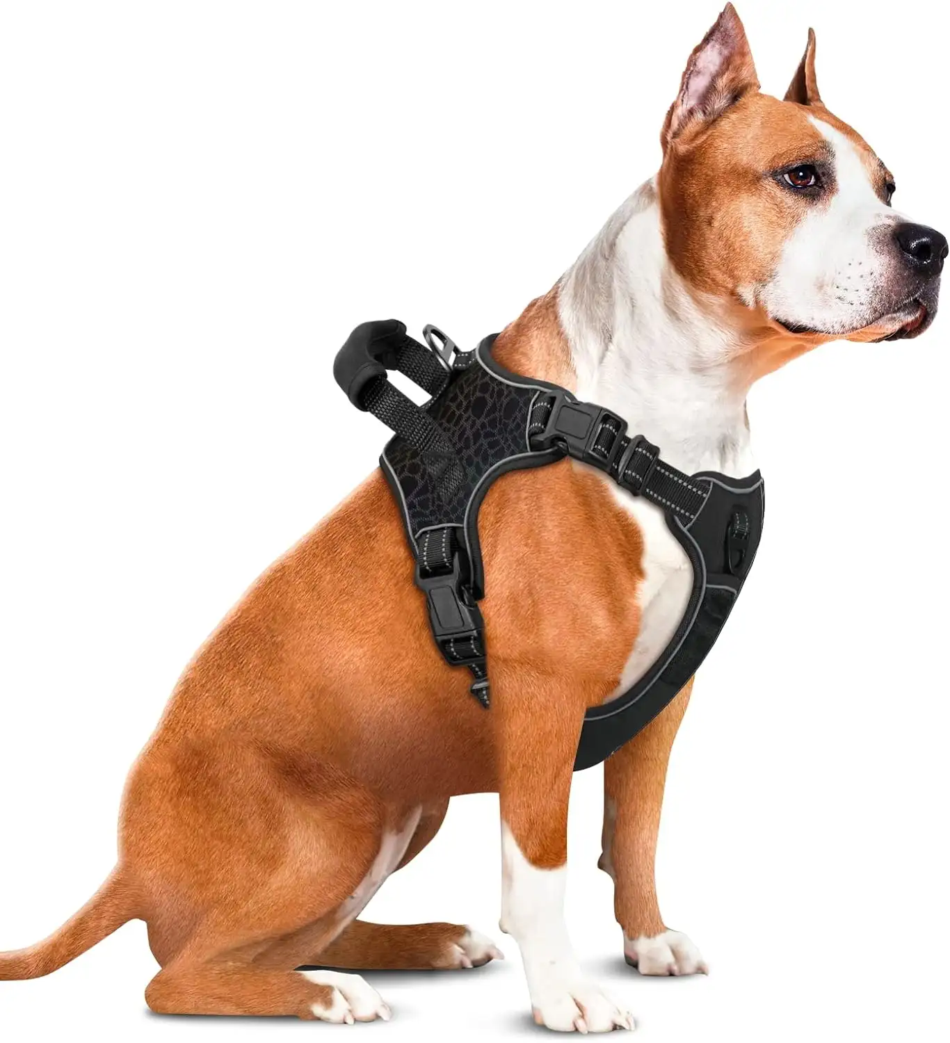 Arnés para perros sin tirar - Imagen 2