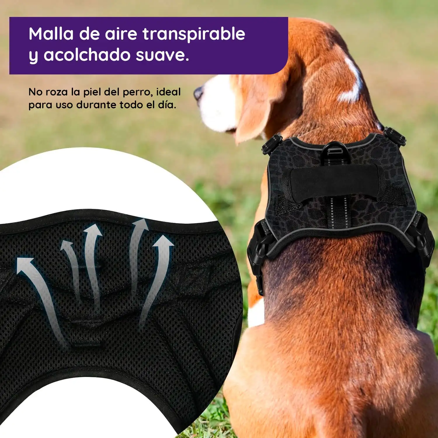 Arnés para perros sin tirar - Imagen 7
