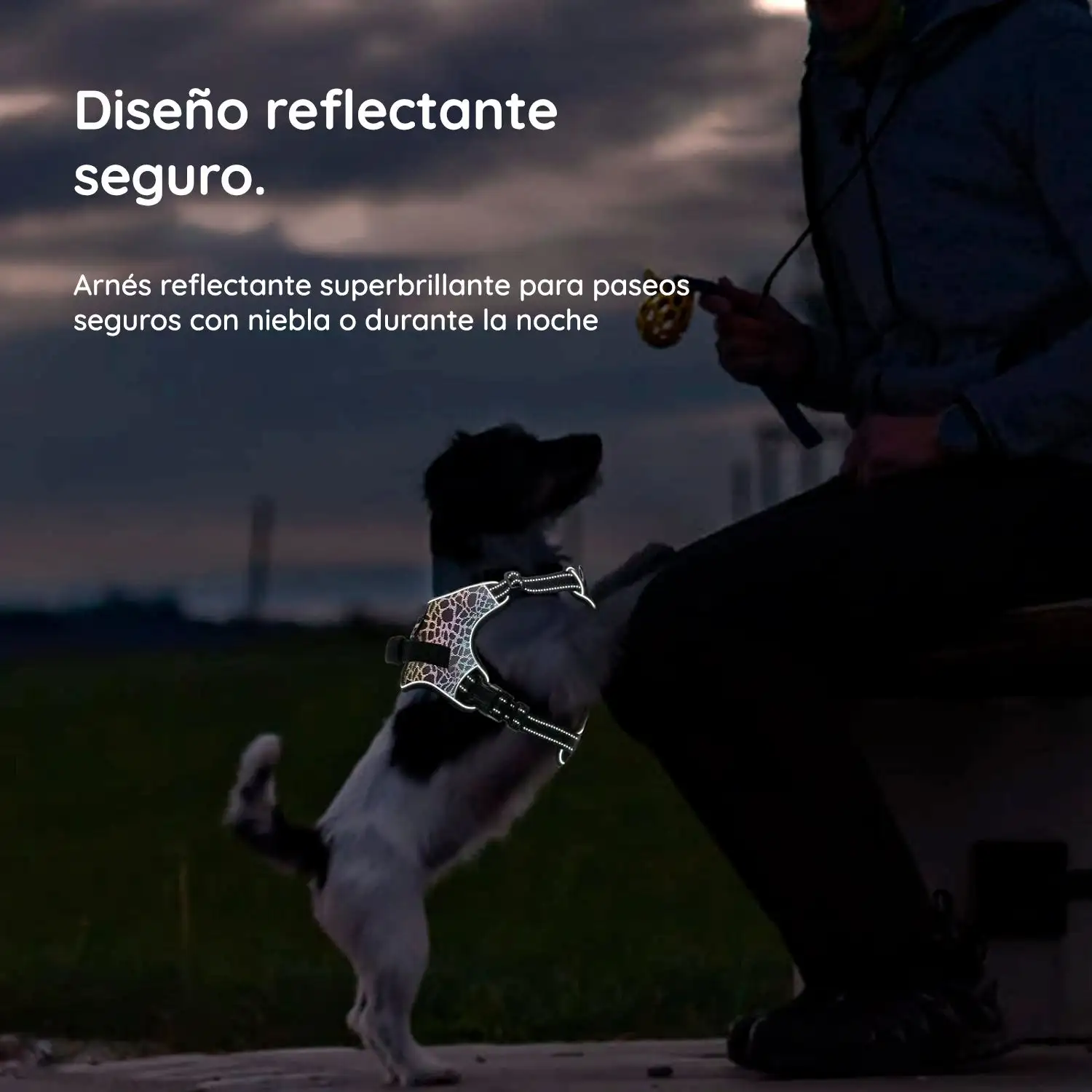 Arnés para perros sin tirar - Imagen 10