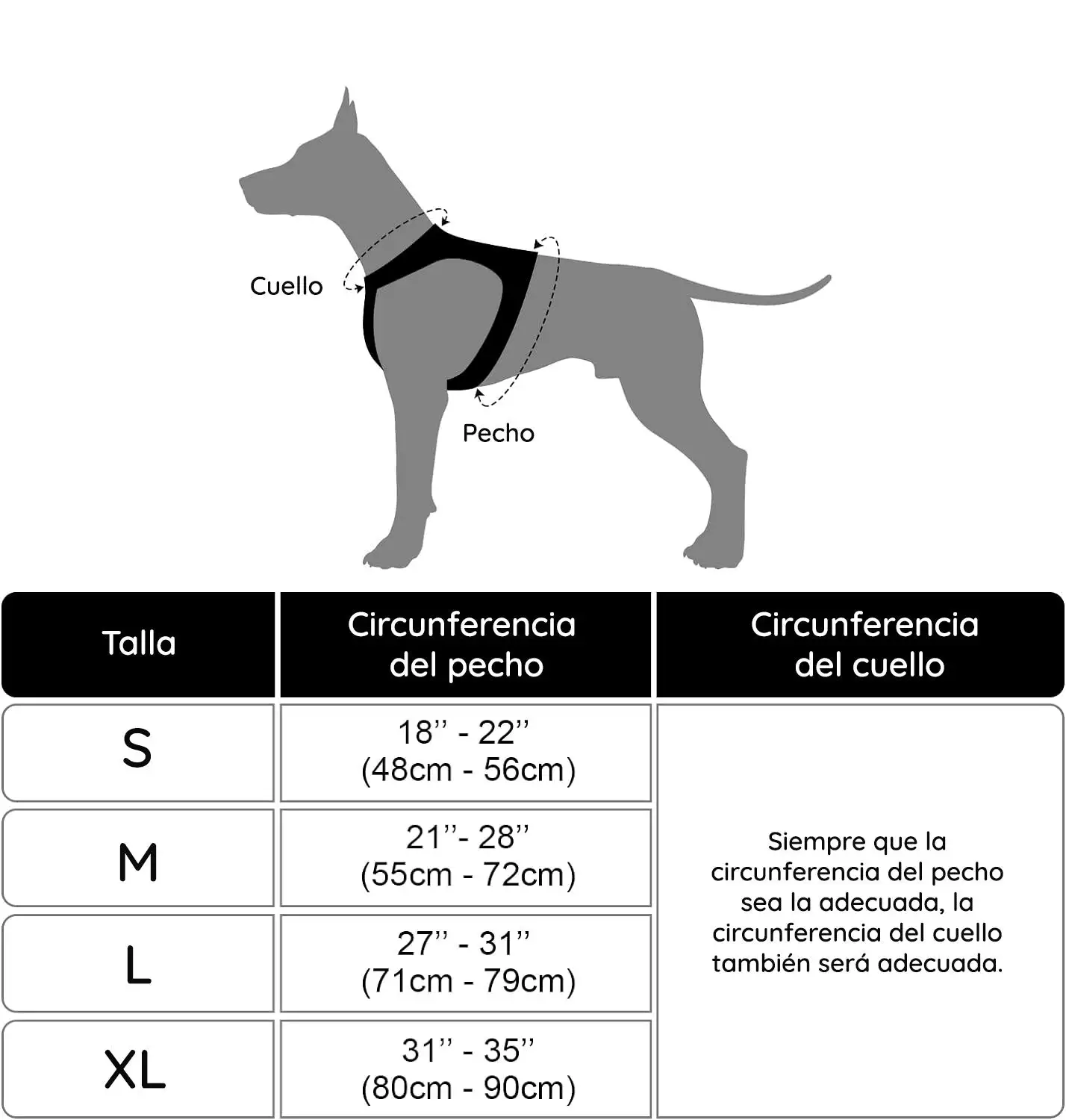 Arnés para perros sin tirar - Imagen 12