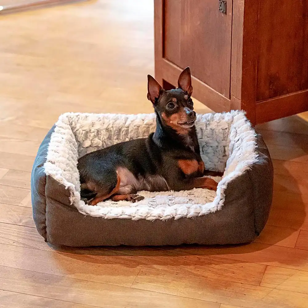 Cama para perros Sweetie - Imagen 5