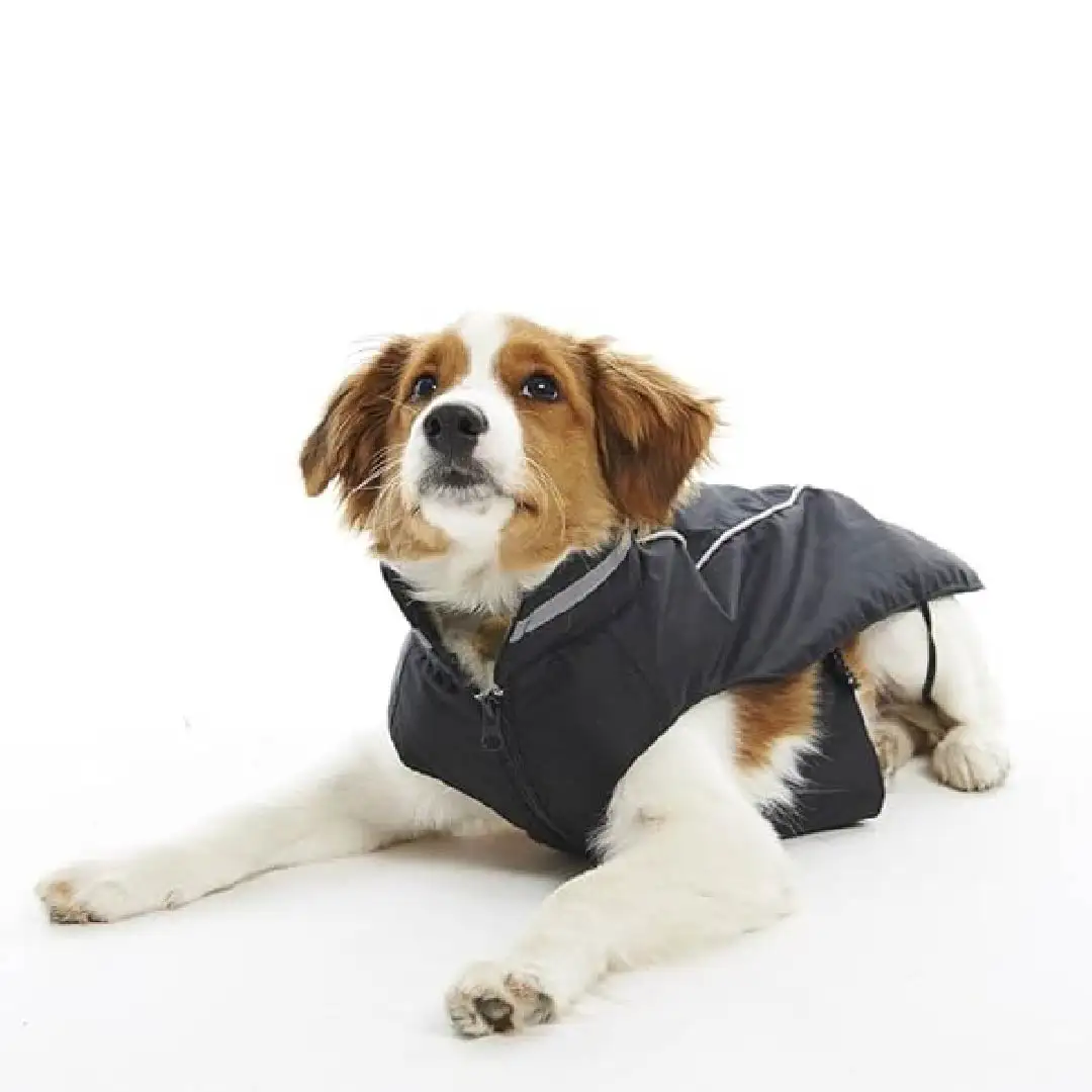 Chaqueta de invierno Buster - Imagen 4