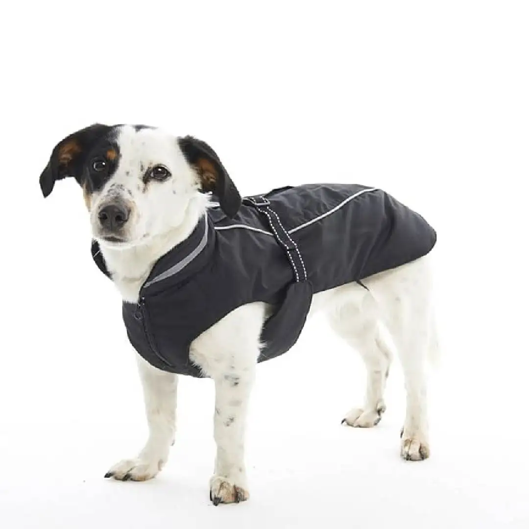 Chaqueta de invierno Buster - Imagen 5
