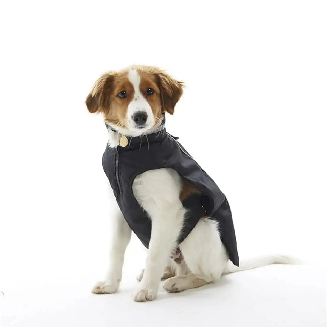 Chaqueta de invierno Buster - Imagen 6