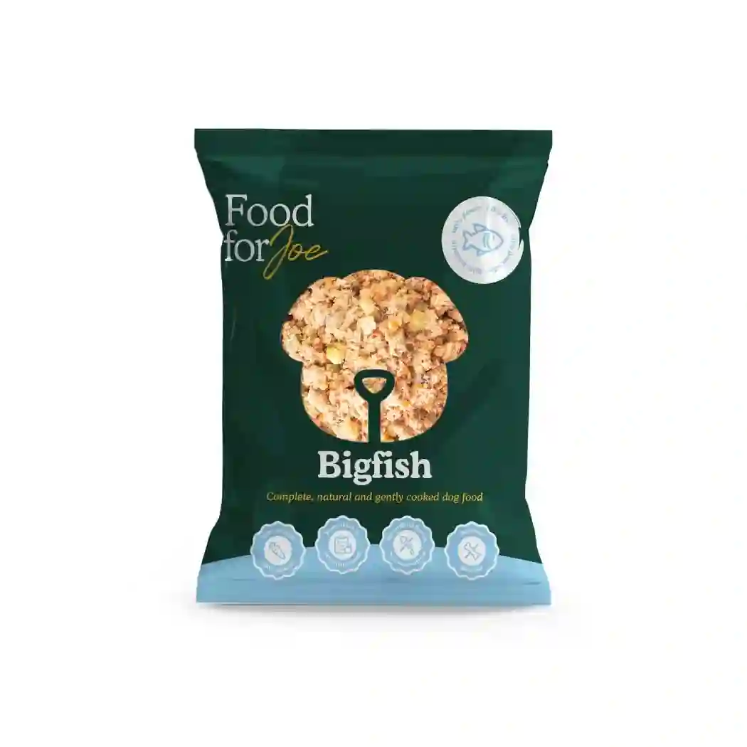 Food for Joe Bigfish (Salmón)