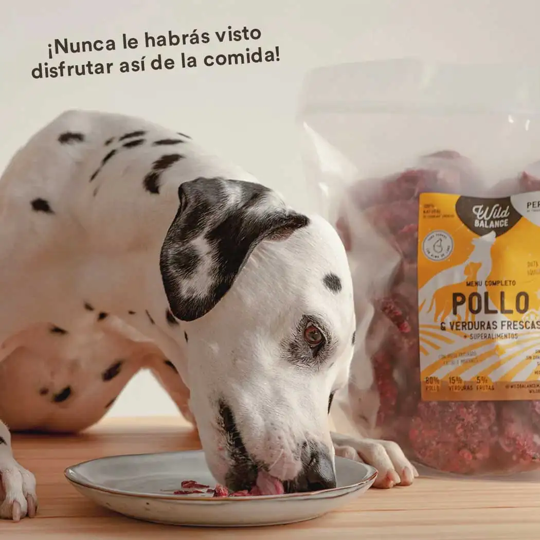 Menú BARF de Pollo con verduras frescas para perros - Imagen 7