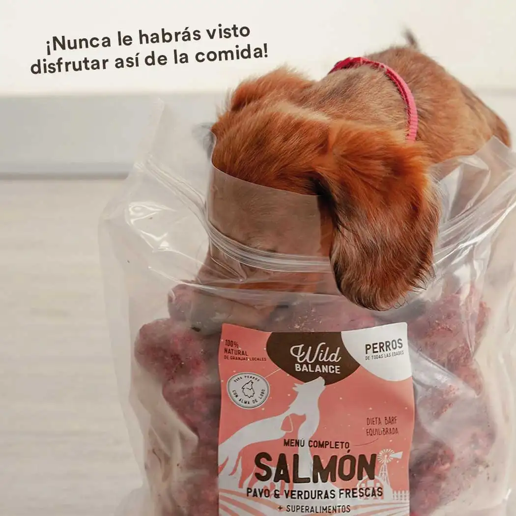 Menú BARF de Salmón con verduras frescas para perros - Imagen 7