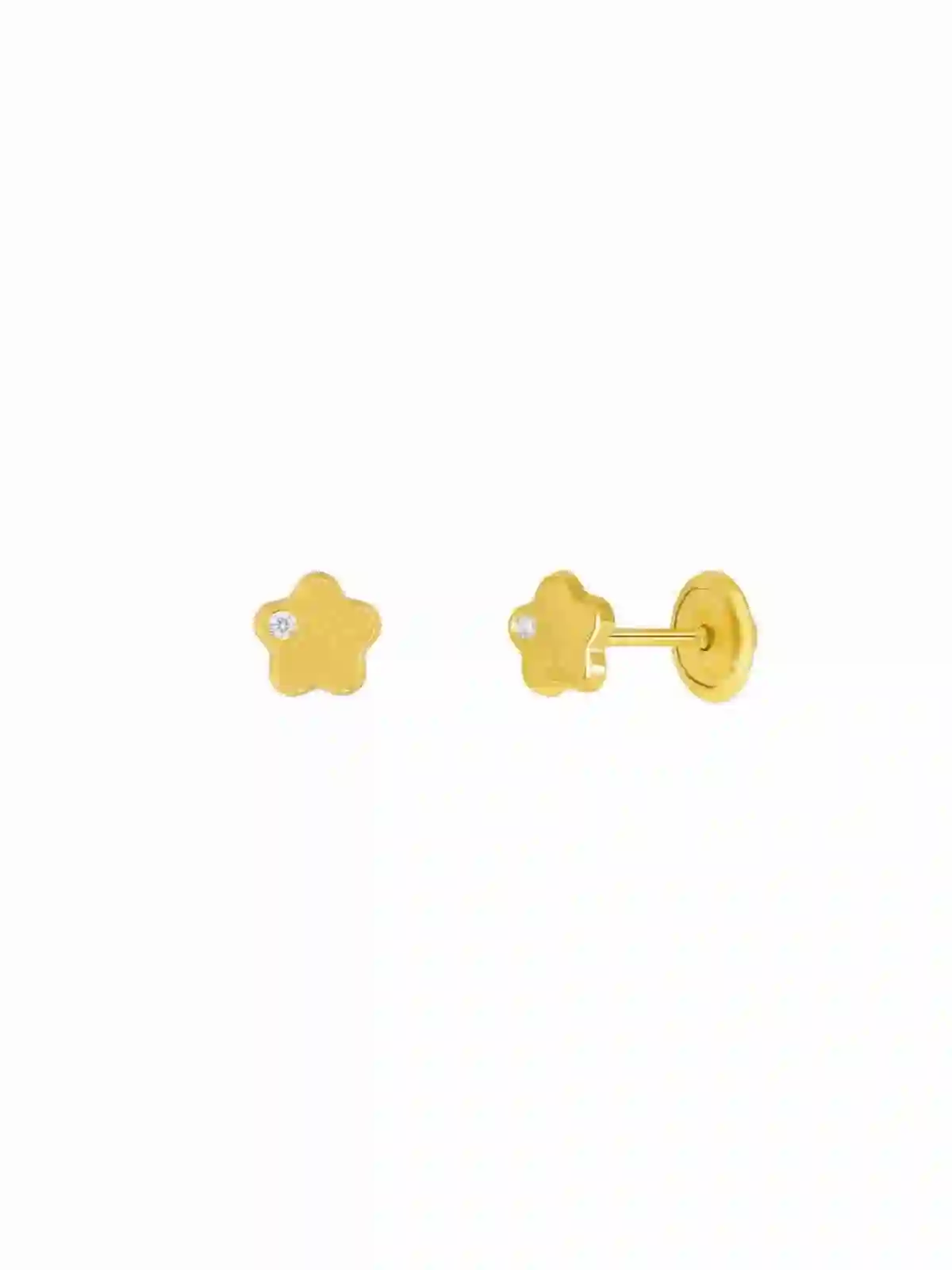 Golden Silver Earrise