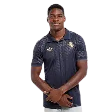 JUVENTUS 3RD JERSEY 2024-25
