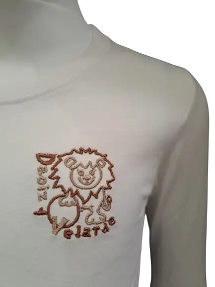 CAMISETA CEIP DAOIZ Y VELARDE