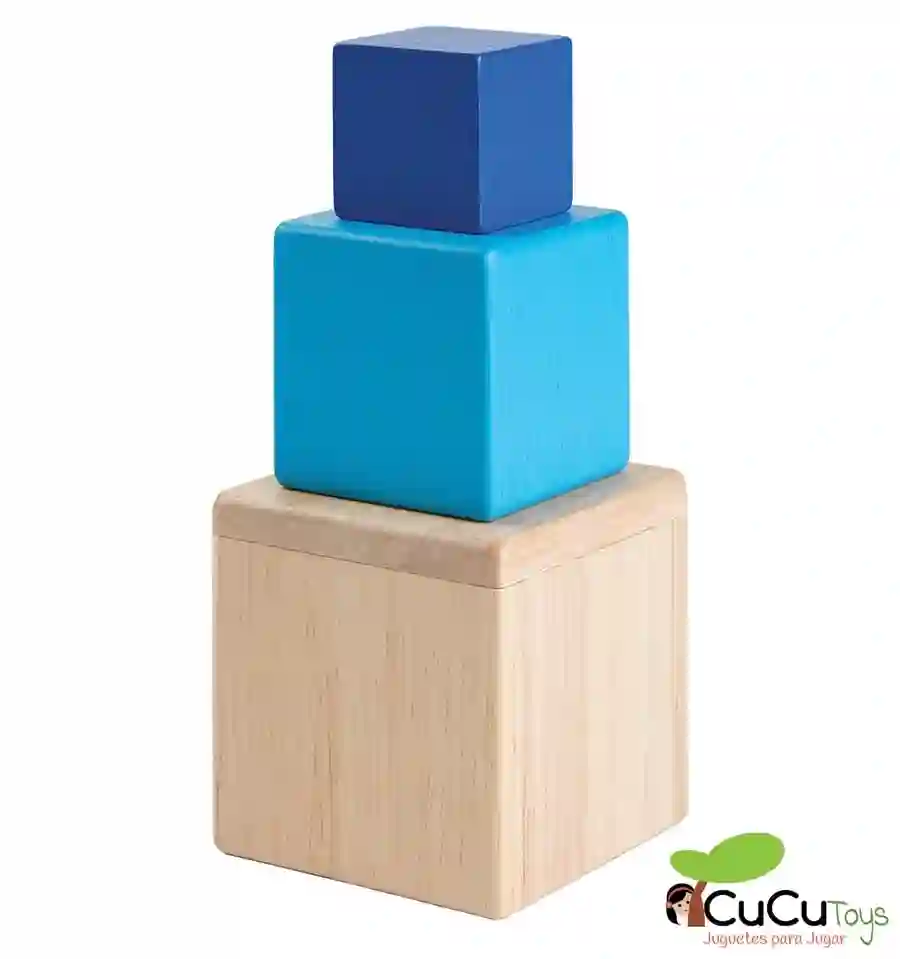 Plantoys - Cubos Encajables