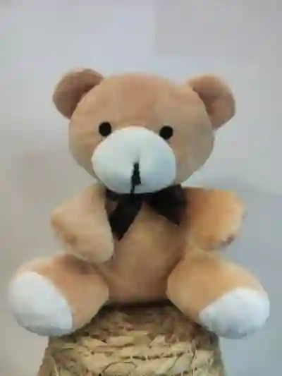 Peluche