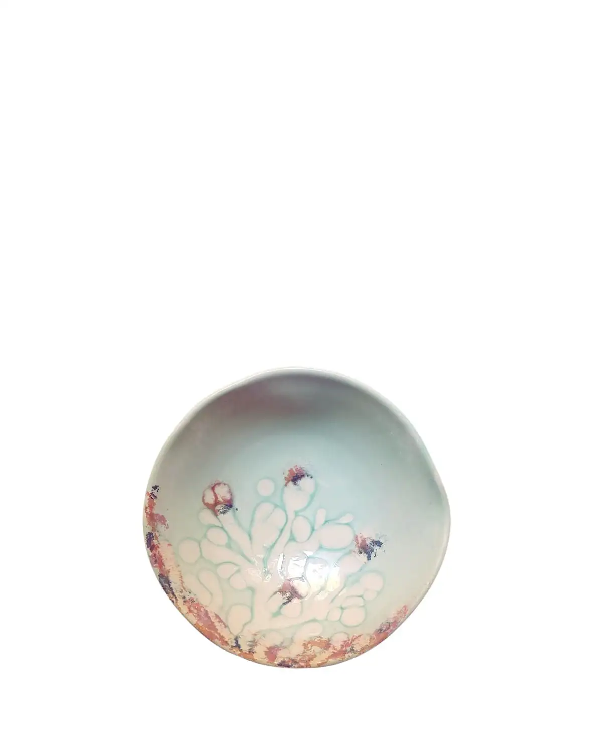 Hondo Coralie dish