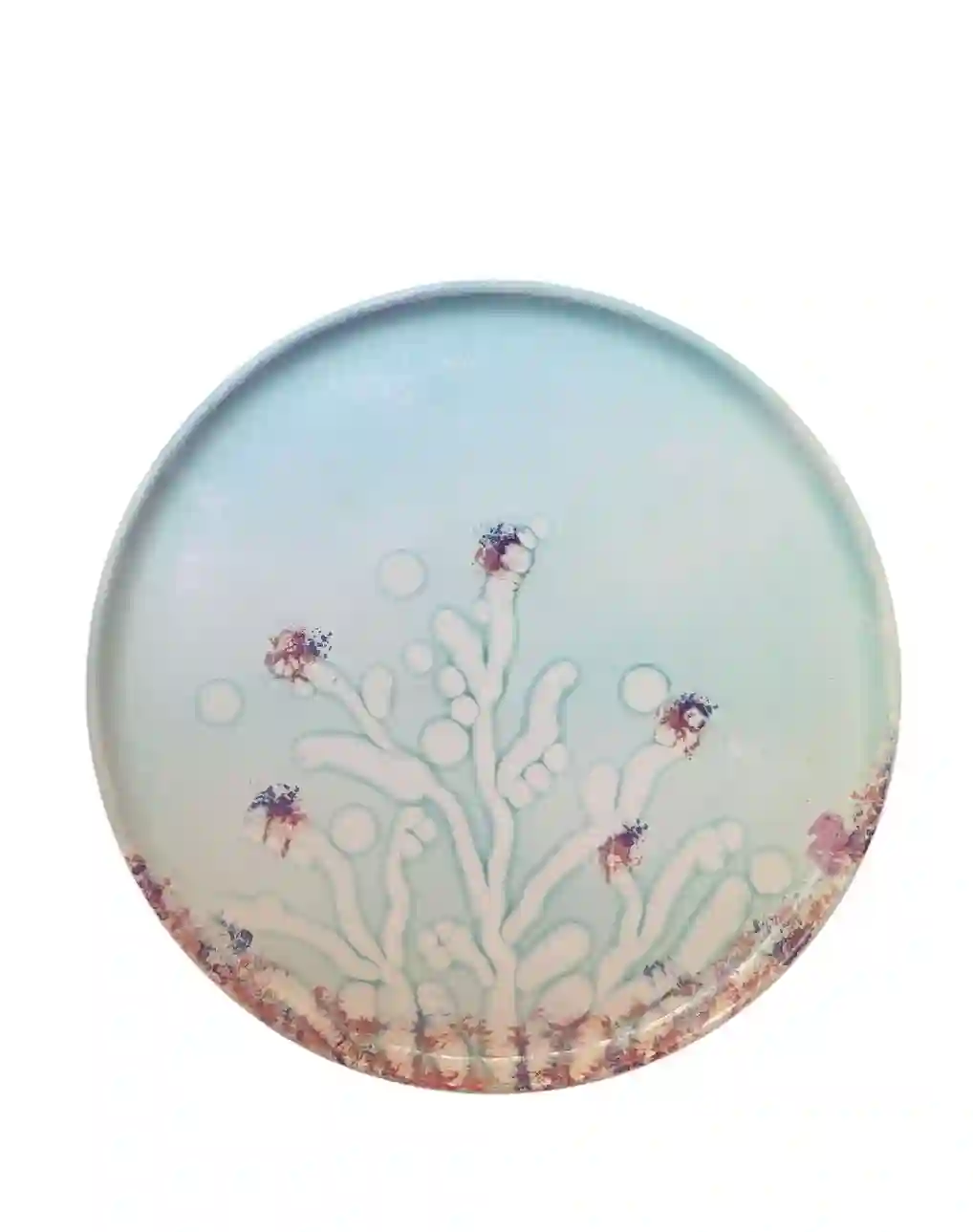 Round source Coralie