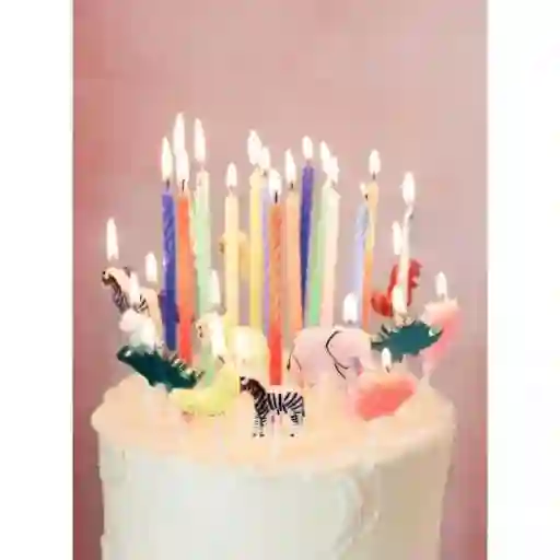Velas dinosaurio