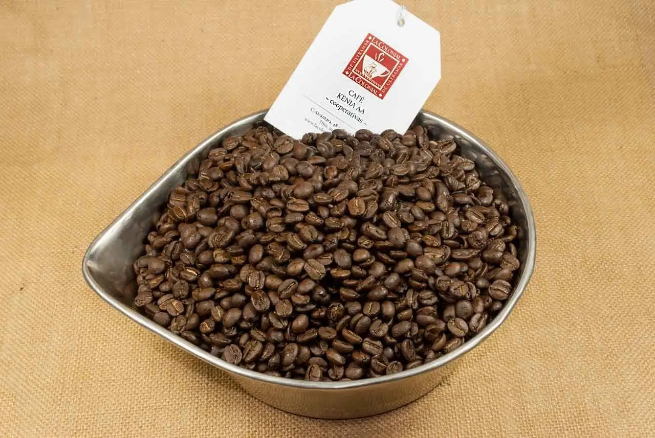 Café Kenia AA