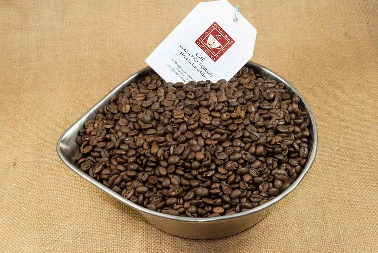 Café Costa Rica Tarrazú
