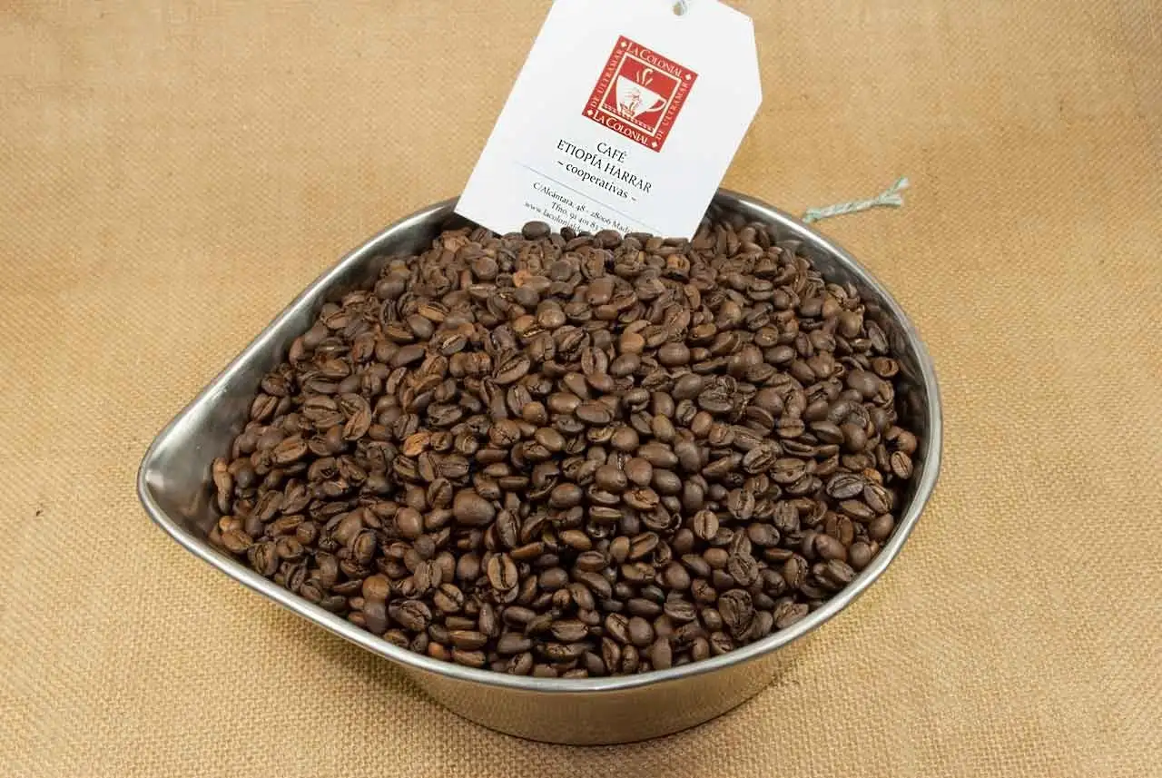 Café Etiopía Harrar Longberry