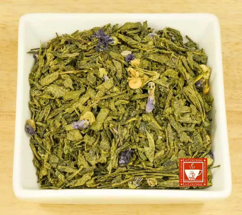 Té verde Kombucha