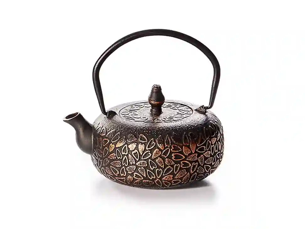 Tetera de hierro "Ningbo" 0,5 L