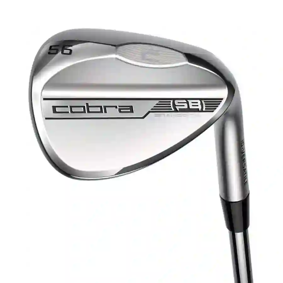 Cobra Snakebite 2023