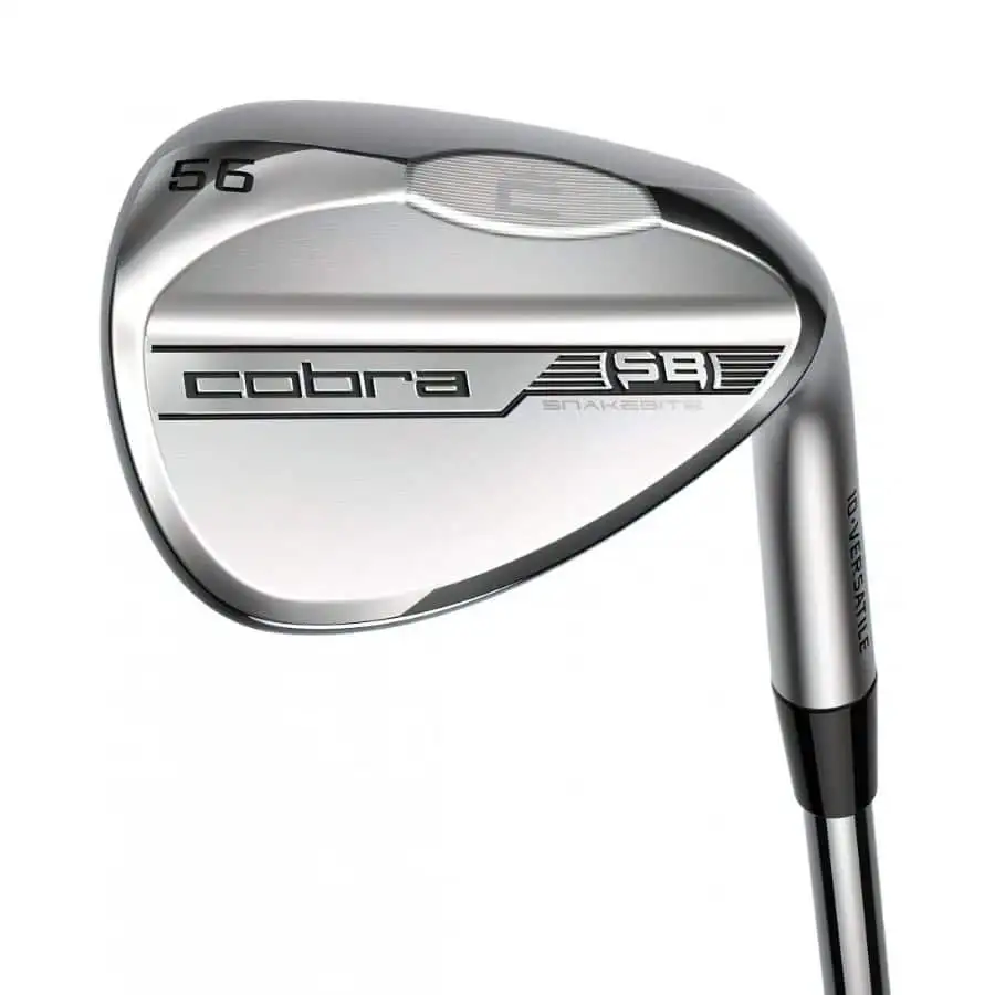 Cobra Snakebite 2023