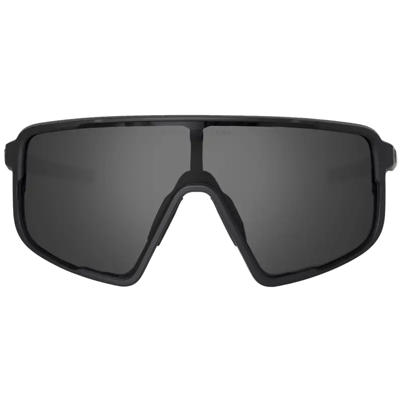 Gafas SWEET PROTECTION Memento Polarized