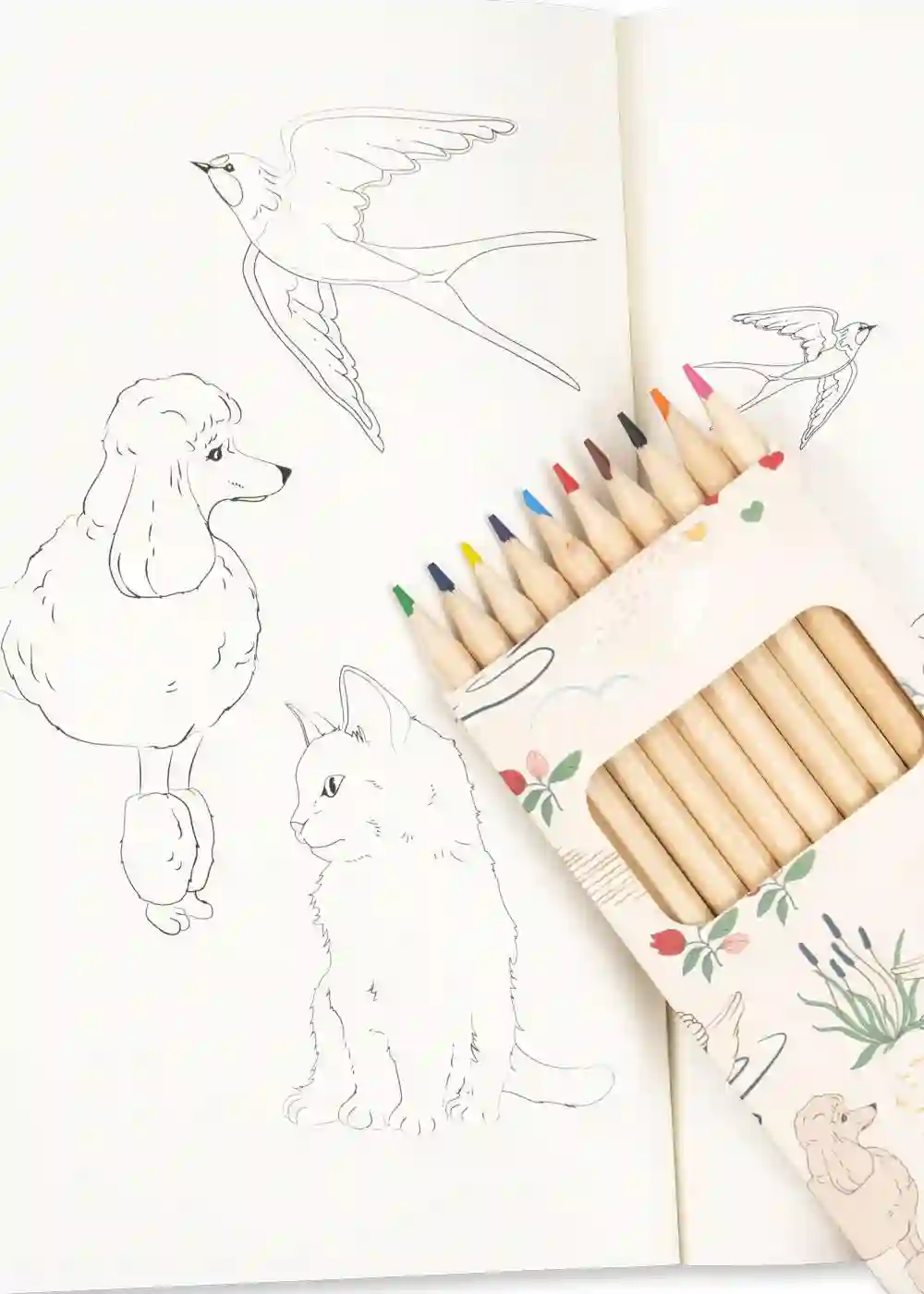 Libro de Actividades con Lápices de Colores- Mizumi