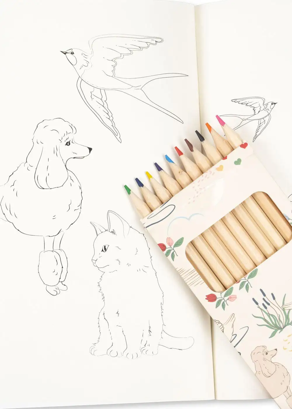Libro de Actividades con Lápices de Colores- Mizumi