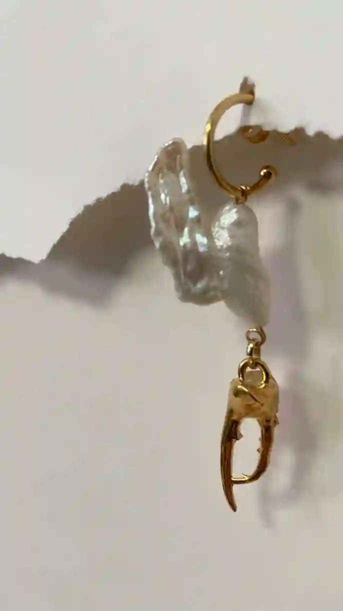 Arete de coleòpero