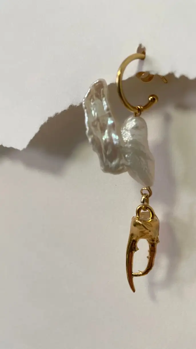 Arete de coleòpero