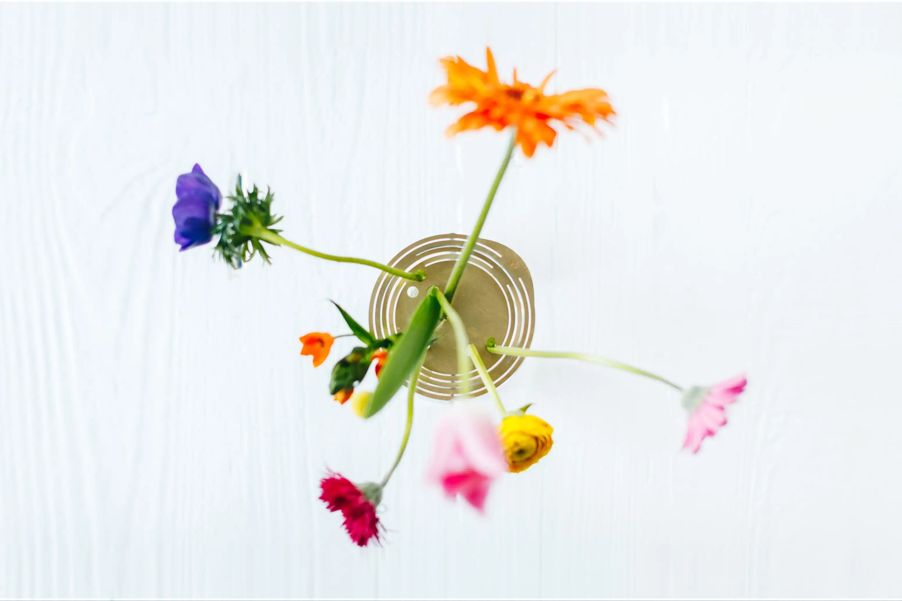 Constellation Flower Arranging Disk - Image 2