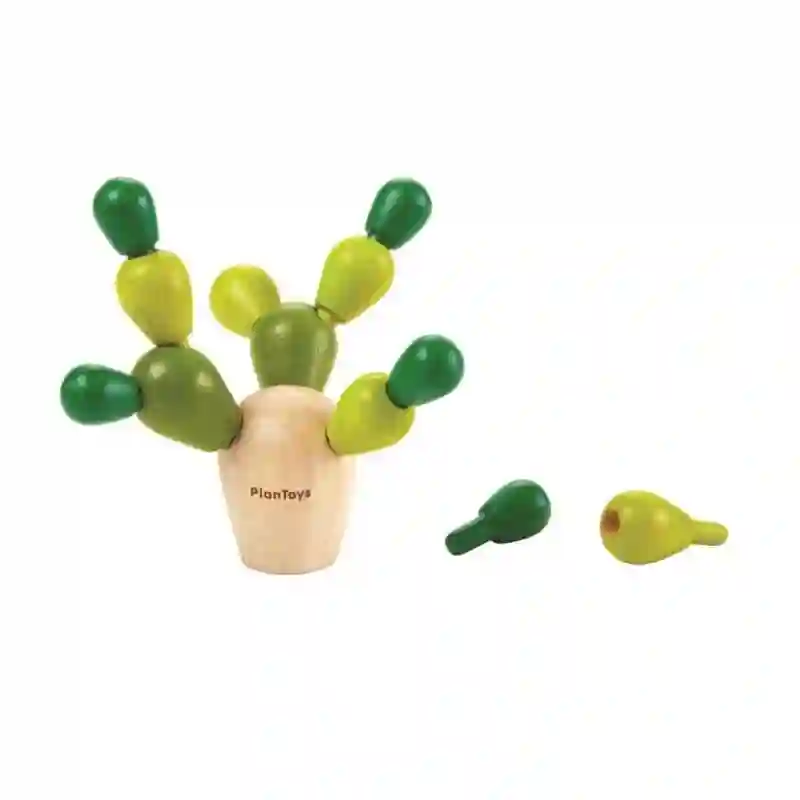 Mini cactus en equilibrio - Plantoys