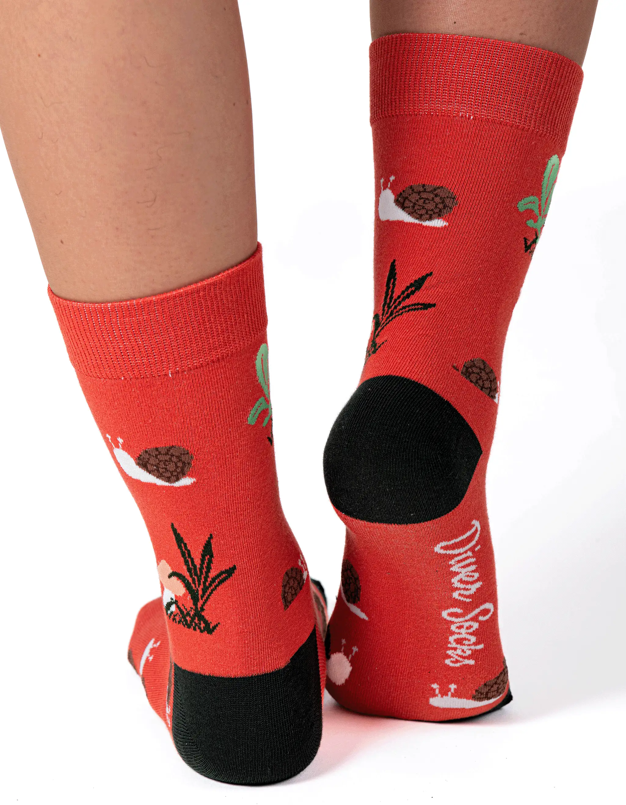 Calcetines Caracoles - Imagen 3
