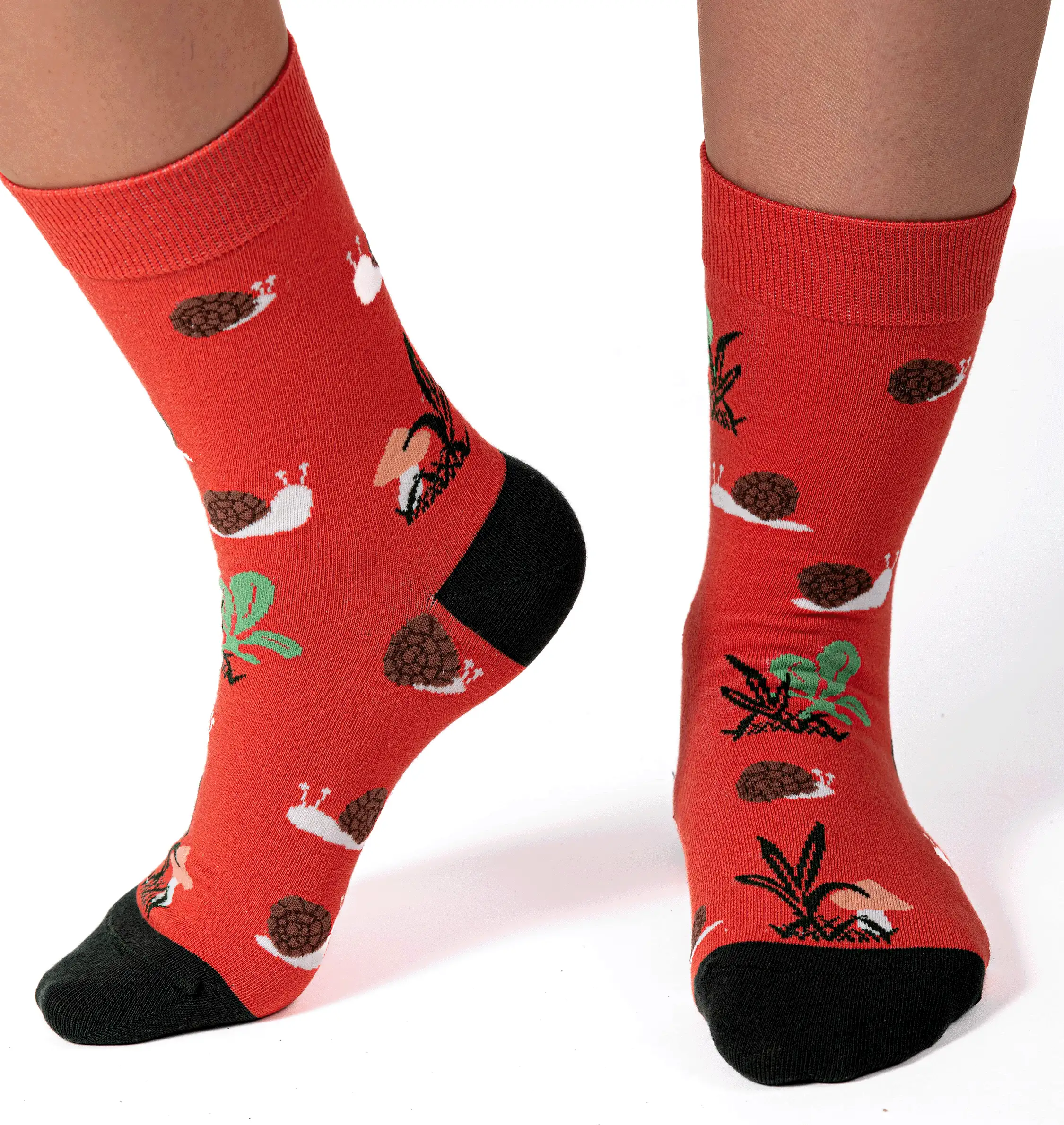 Calcetines Caracoles - Imagen 4