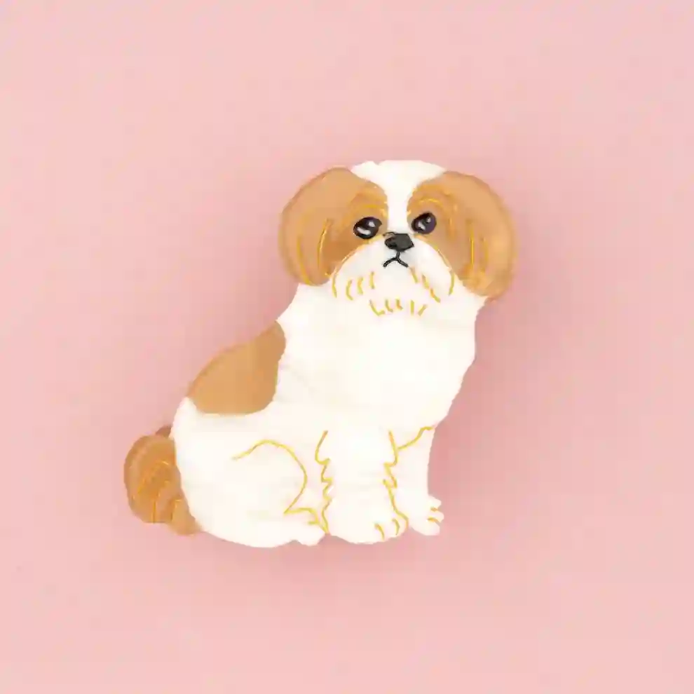 Pinza shih tzu / cuckoo suzette
